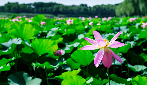 ce801de3d6fd9cea40e9ff973b01d9af