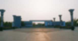 8d714988d0d5809cf4a2717a945d817e