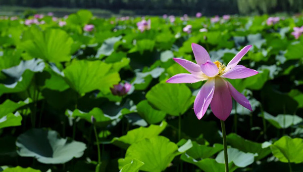 58039bc4c567428fbe13c199c375d3a0