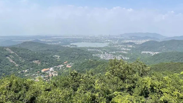 90fa9c5977398d421b74689e204f1ff5