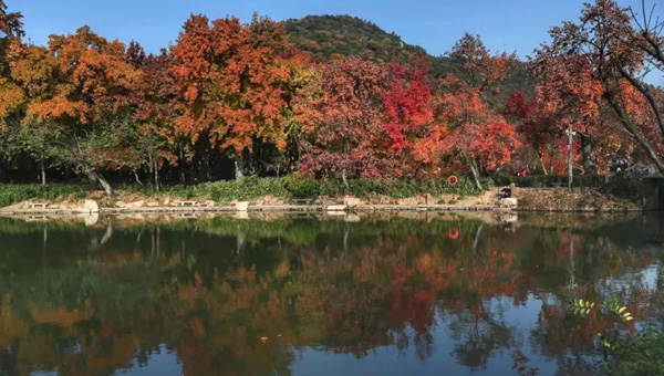 6f2b606b31cb7a8dbf89a7ee2173981d