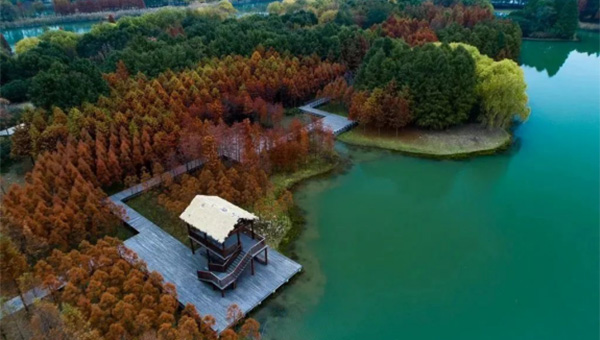 e076348540831d40893b0dcf9be40f43