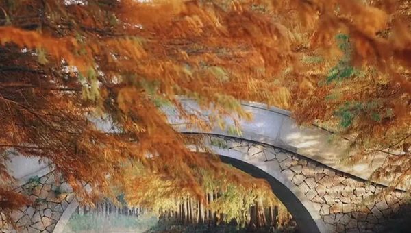 748e00d5ab8c0741bd1e25e47f16f9a0