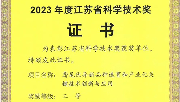 2c2df0d840bc608a88fd3f04e2126dd2