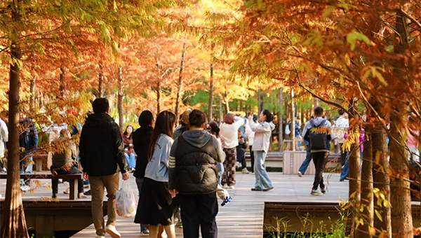 bdfe5051b24d68131a828406aee94ed1