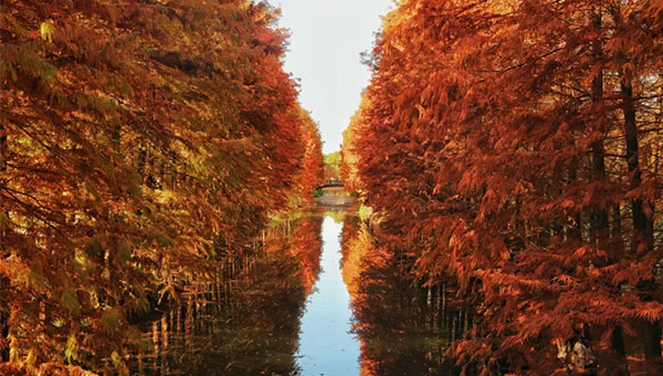 61ca0346442e9389b432d66a15c77d4b