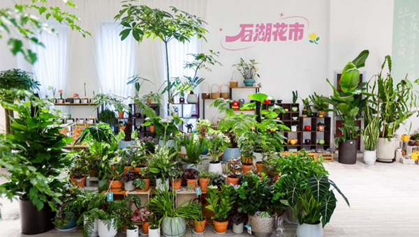 903c019931c00fb69e5e2c0ddaa7364f