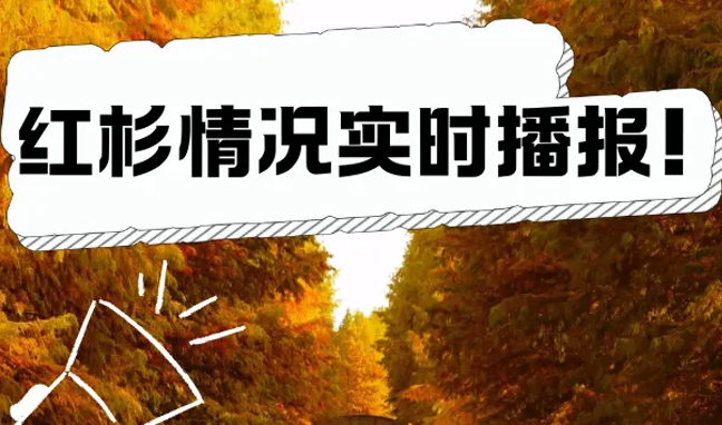 471c3a07829f126525f25f39120ce717