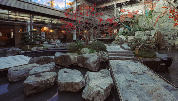 2d02e9f203059b527a169e71a584998c